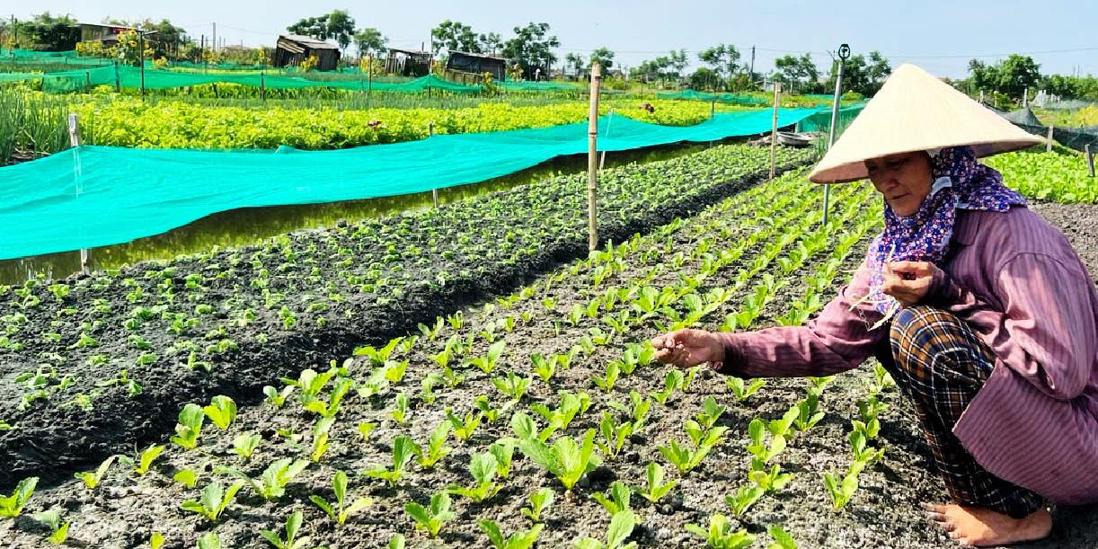 Thành Trung - thôn nông thôn mới kiểu mẫu