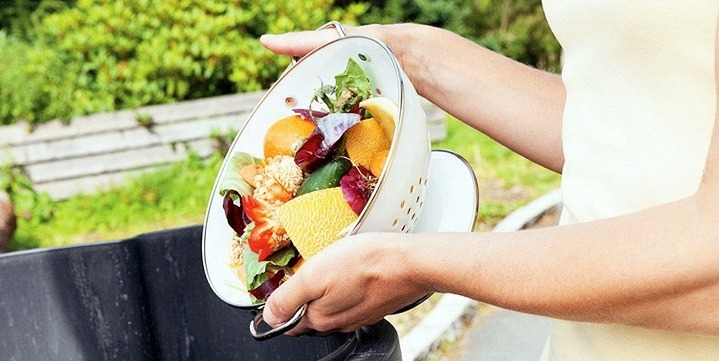 1,05 tỷ tấn thực phẩm toàn cầu bị lãng phí trong khi hàng trăm triệu người bị đói