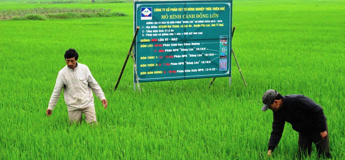 Hiểu đúng, làm đúng, môi trường sạch hơn