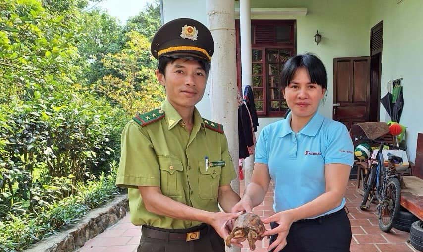 Tiếp nhận cá thể rùa quý, hiếm
