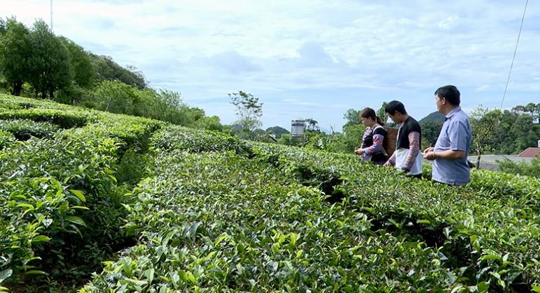 Luật Đất đai 2024 tác động tích cực đến lĩnh vực nông nghiệp