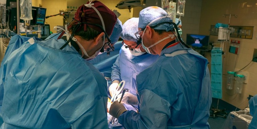 Bệnh nhân đầu tiên trên thế giới được ghép thận lợn đã xuất viện