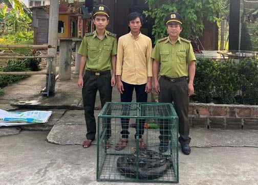 Phát hiện cá thể trăn gấm quý bò vào nhà