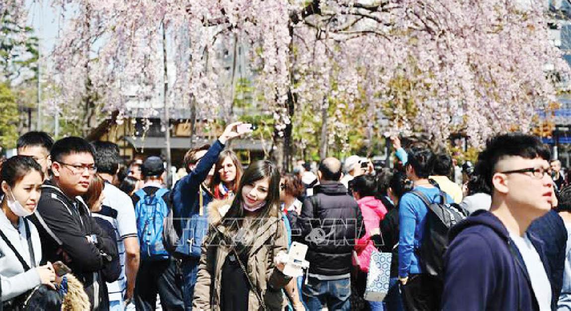 Universal Studios Nhật Bản sẽ tăng gấp đôi số lượng nhân viên nước ngoài