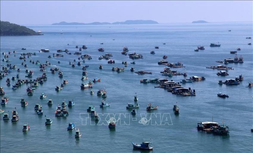 Khắc phục thẻ vàng IUU Cao điểm rốt ráo gỡ thẻ