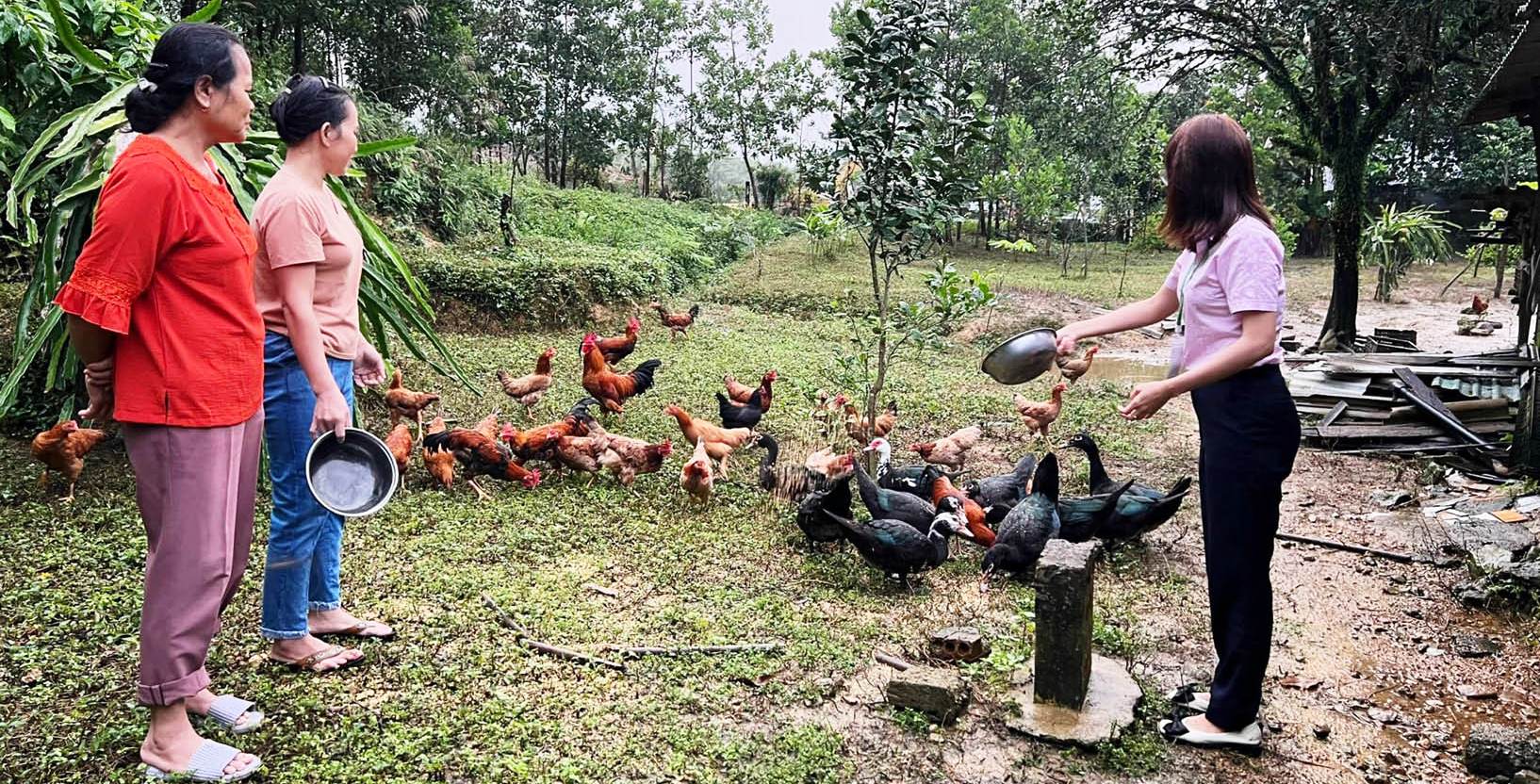 Nhiều dự án sinh kế từ Quỹ Hỗ trợ nông dân