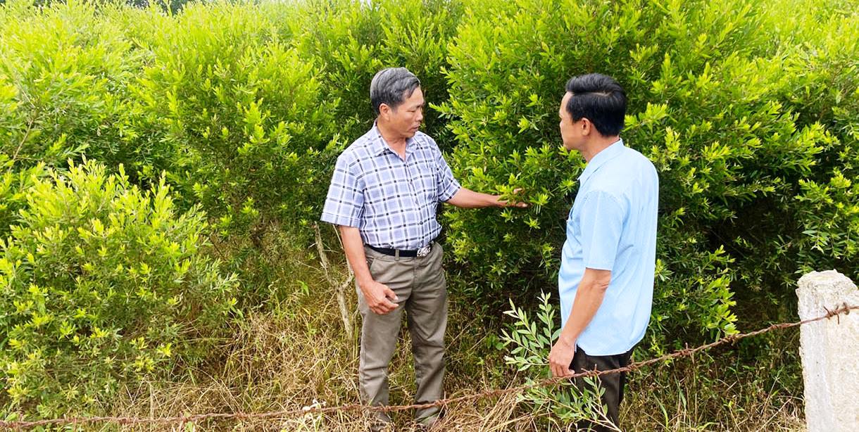 Thoát nghèo, ổn định cuộc sống