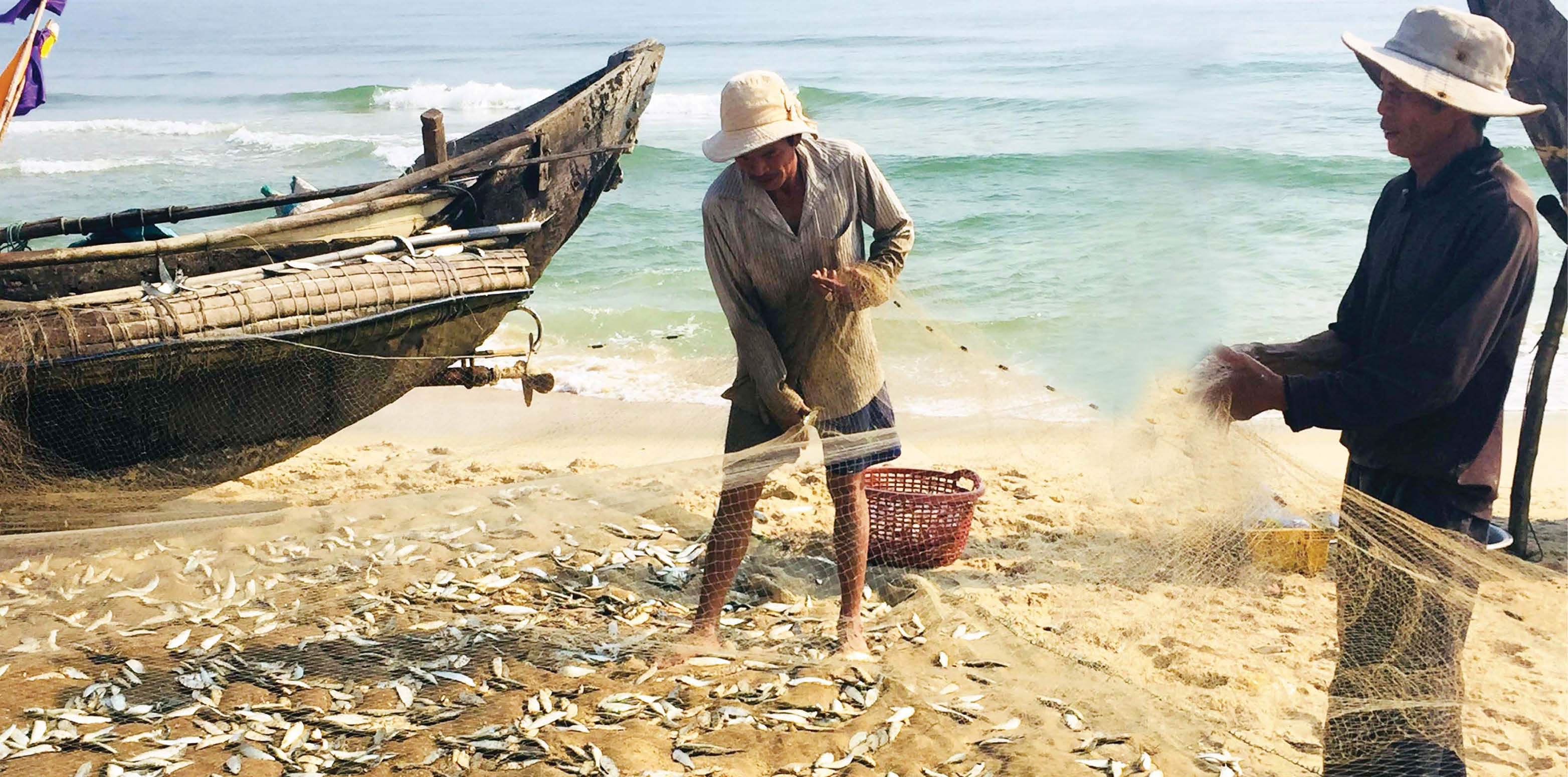 Tôm, cá trở về