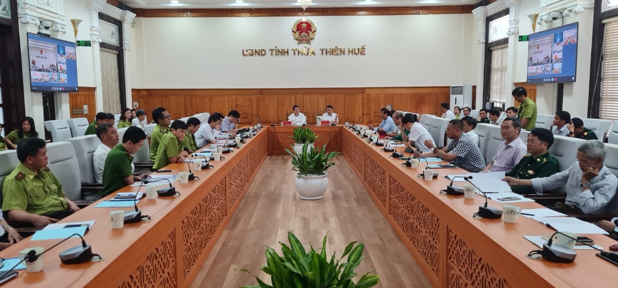 Khai thác gỗ trái pháp luật, xâm lấn rừng vẫn còn diễn ra