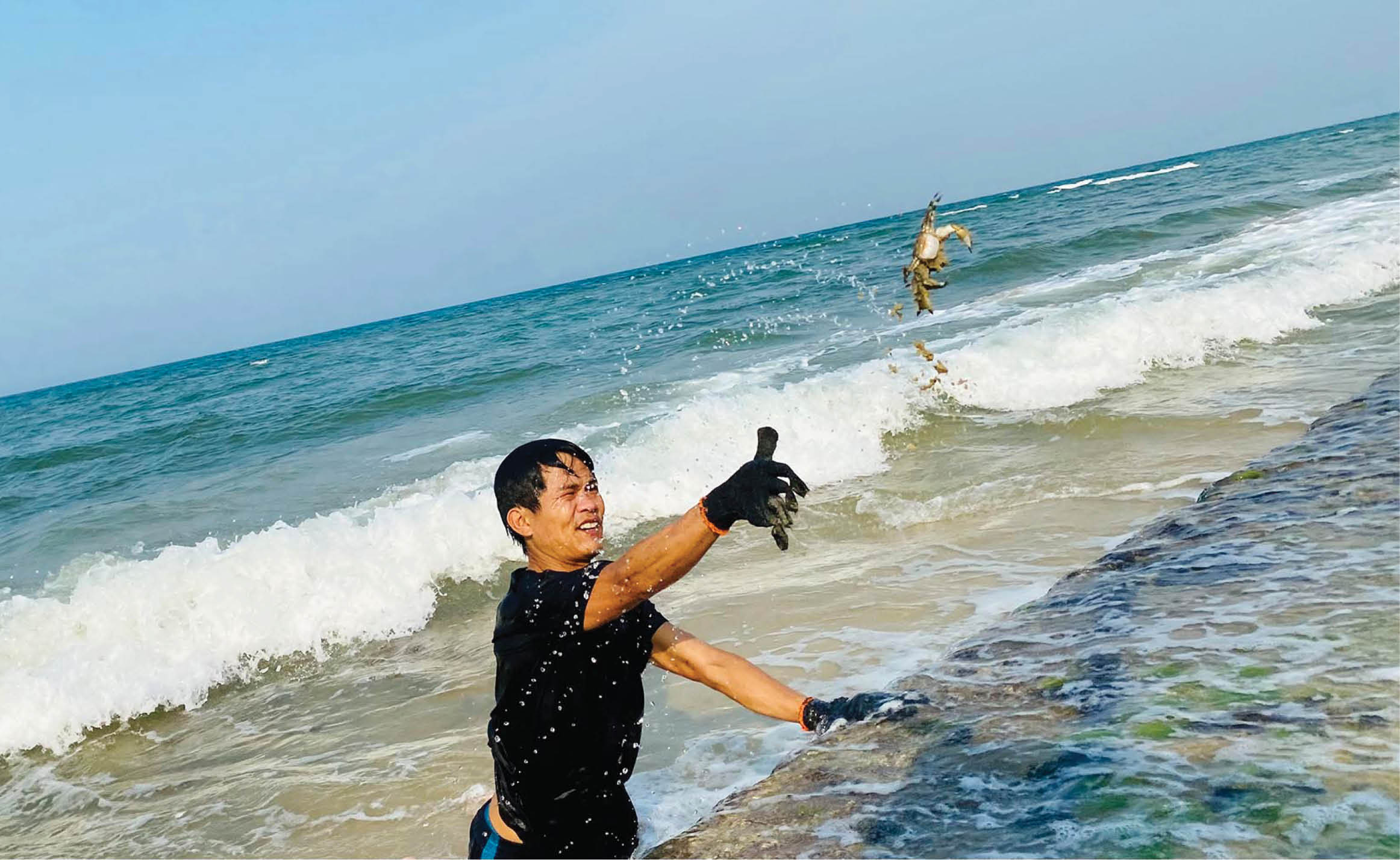 Về biển “săn” cua đá