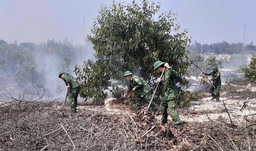 Cháy rừng tràm do người dân bất cẩn