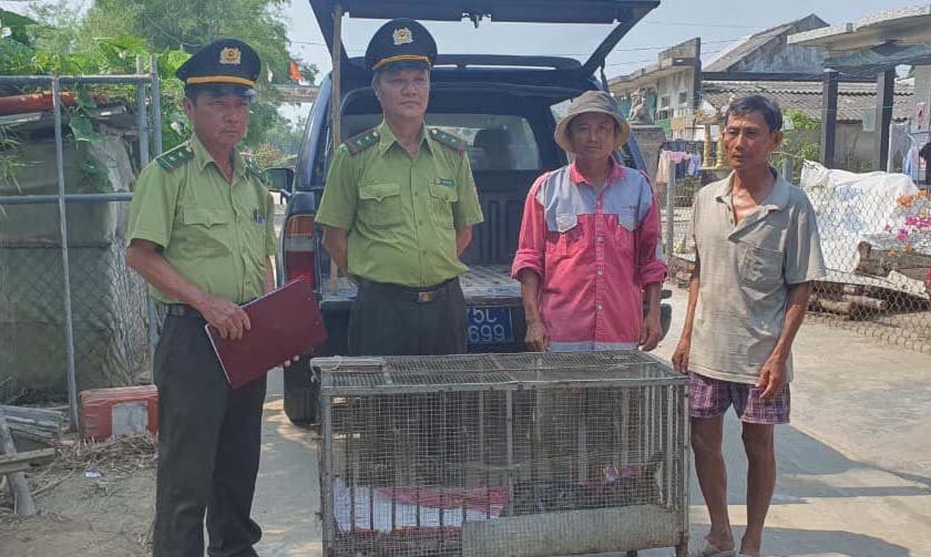 Tiếp nhận cá thể trăn quý, hiếm