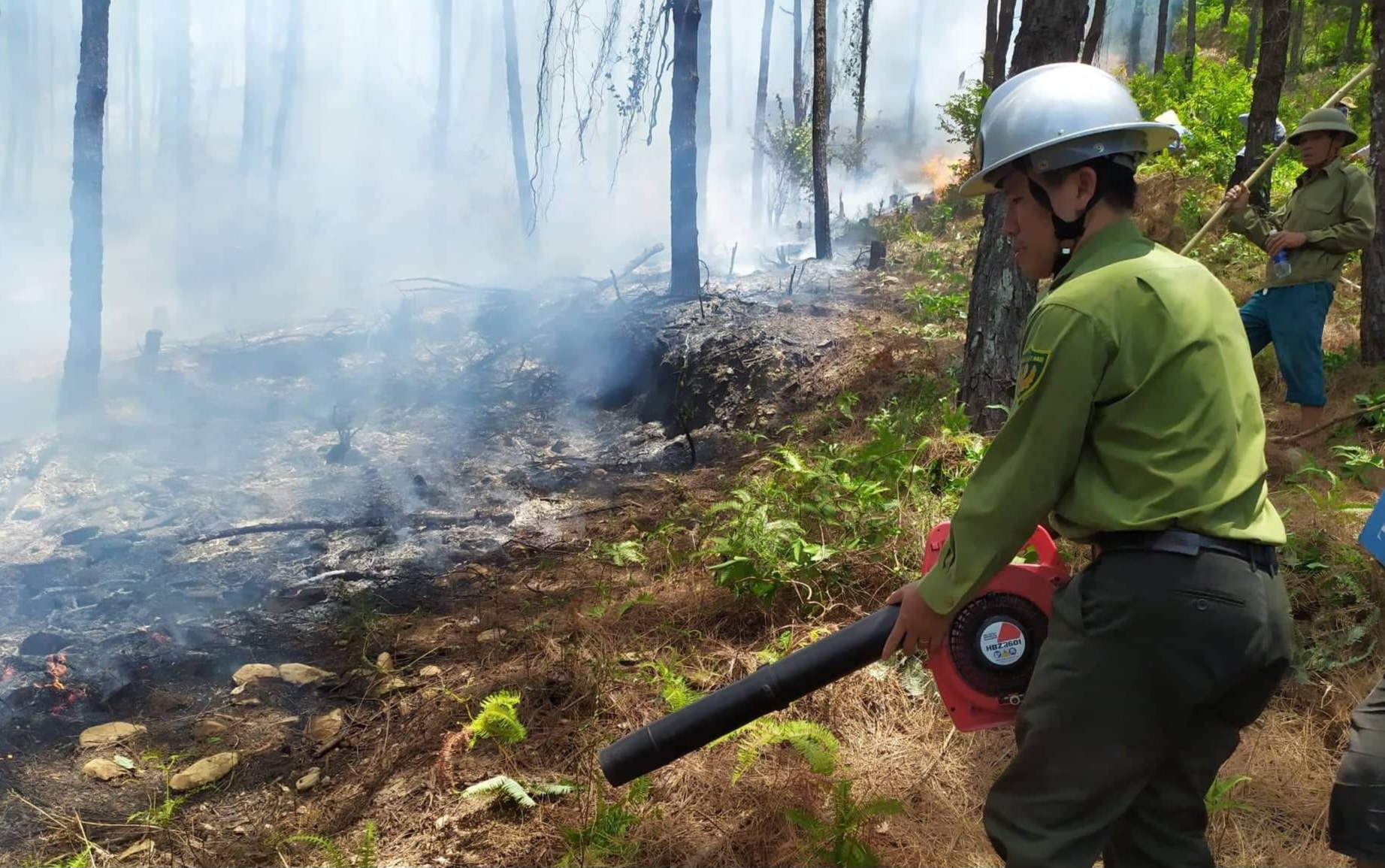 Cảnh báo cấp độ cháy rừng rất nguy hiểm