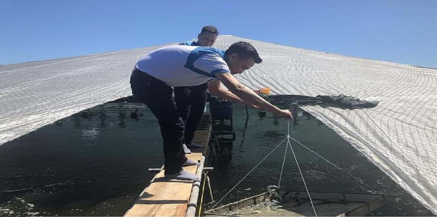 Chọn giống chất lượng, qua kiểm dịch để thả nuôi