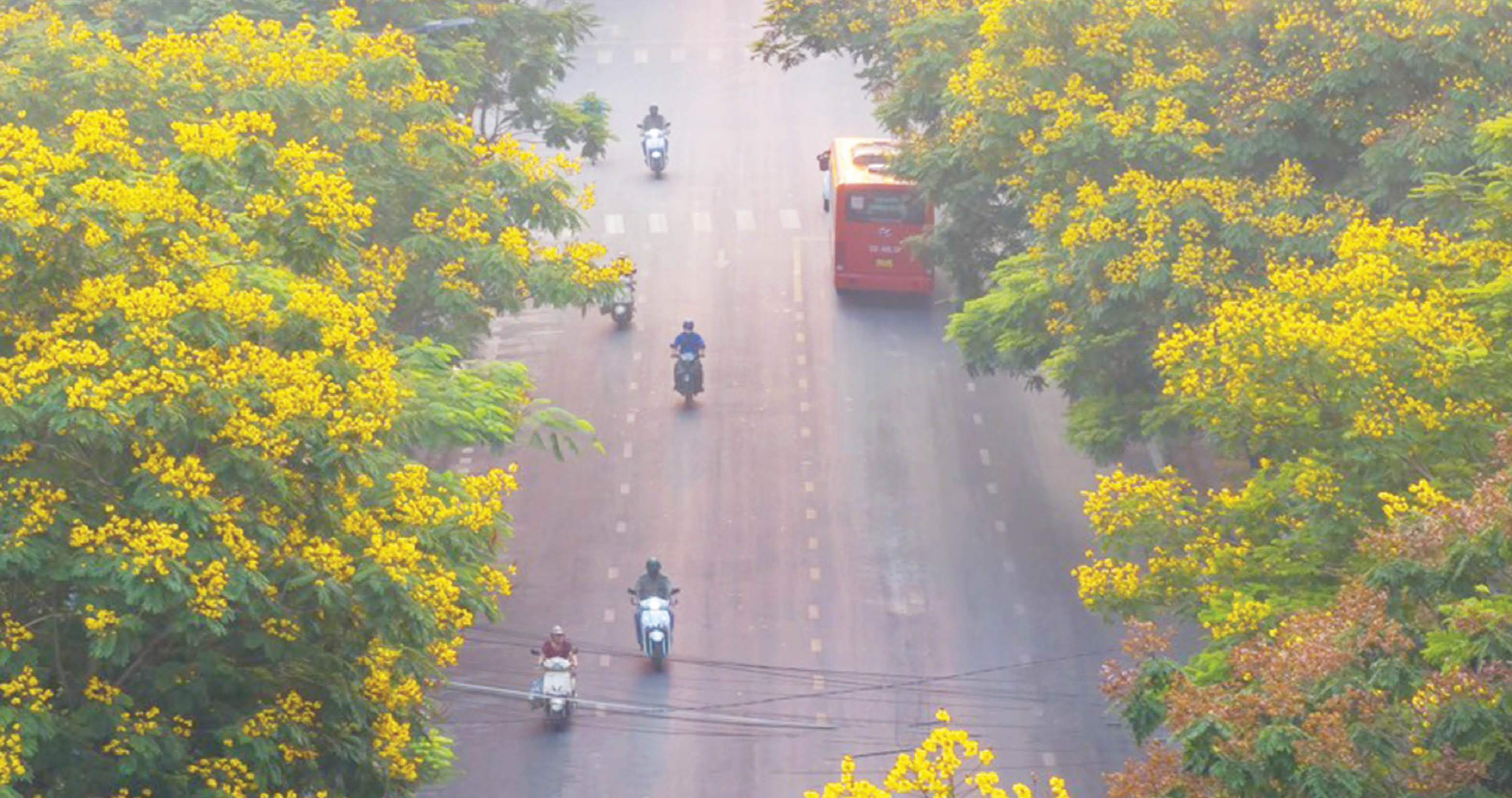 Diện mạo mới đô thị Huế