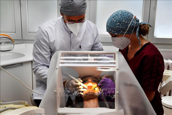 Thuốc tái tạo răng đầu tiên trên thế giới sẽ được thử nghiệm tại Nhật Bản