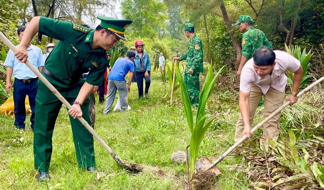 Trồng dừa phòng hộ ven biển Vinh Hiền