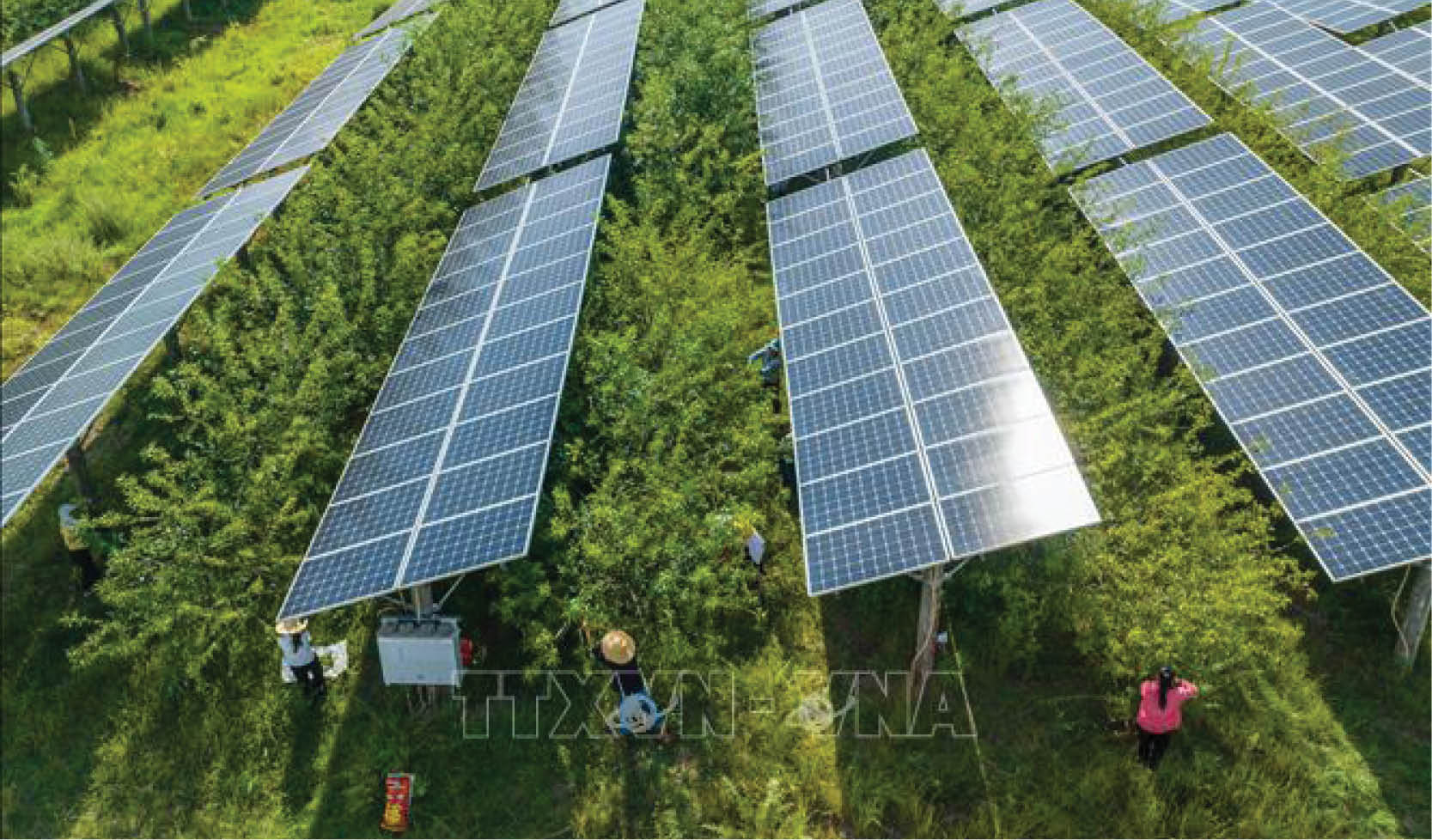 Đầu tư mạnh mẽ vào sản xuất công nghệ năng lượng sạch đang hỗ trợ tăng trưởng kinh tế