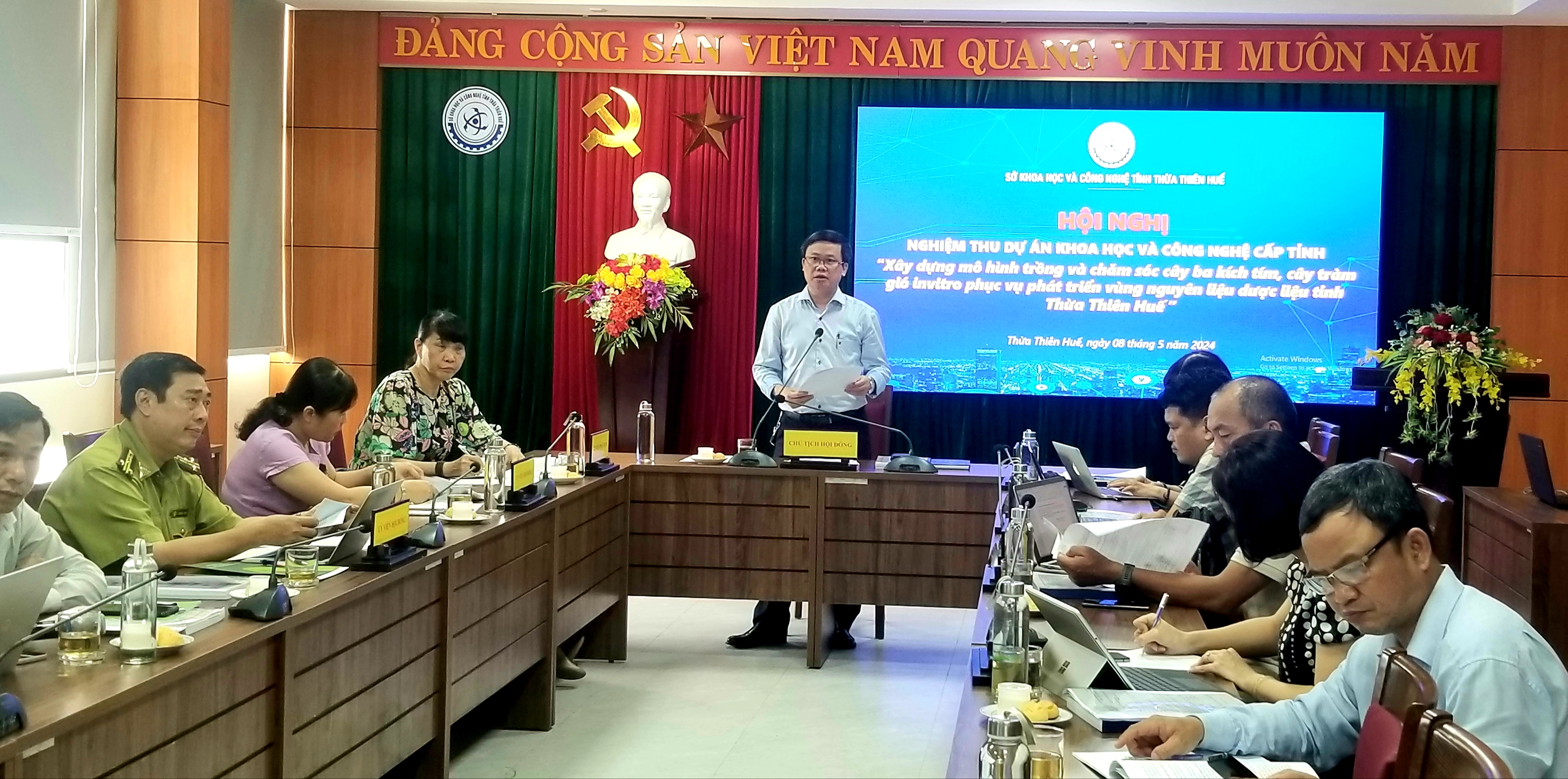 Trồng cây ba kích tím và cây tràm gió invitro phục vụ vùng nguyên liệu dược liệu