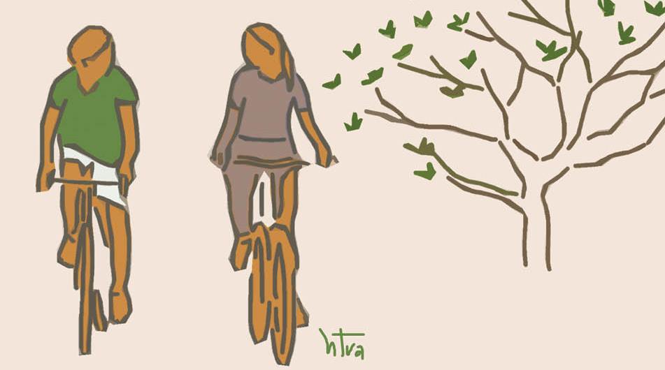 Về miền an tĩnh