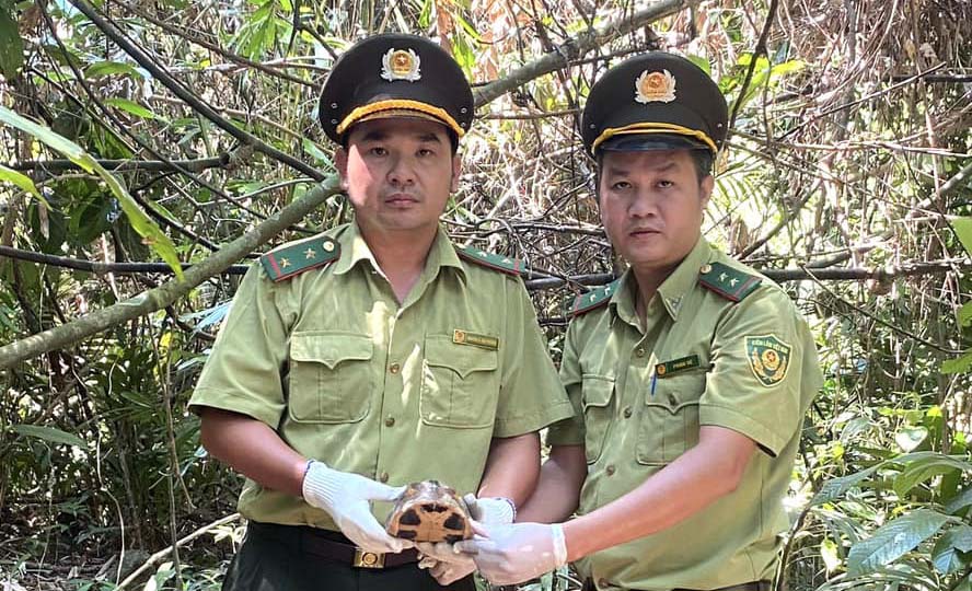 Nhiều cá thể động vật rừng được thả về tự nhiên