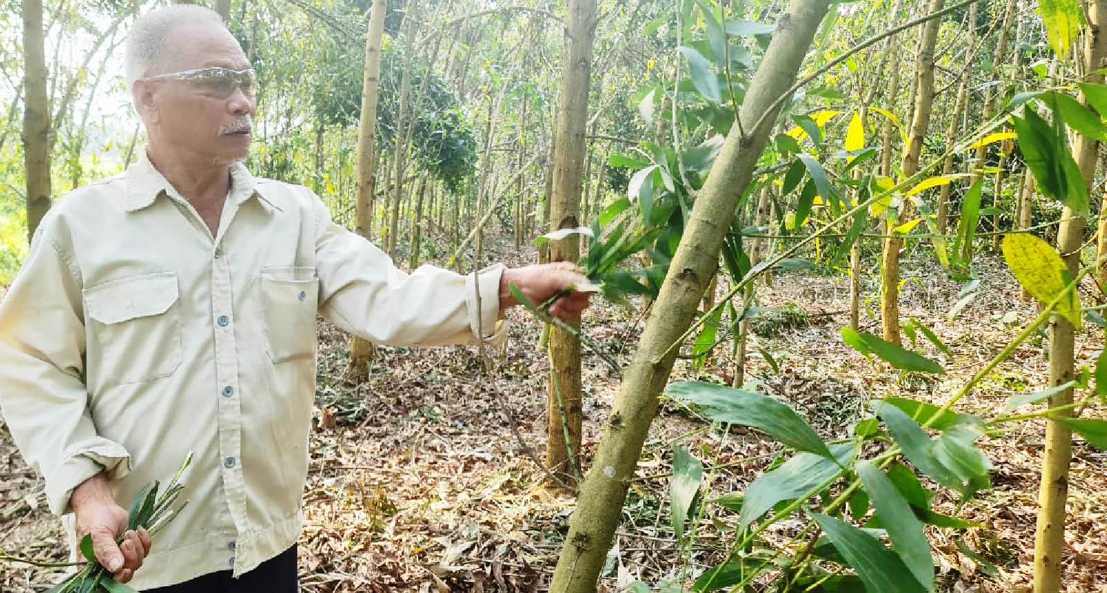 Hai cao niên hiến đất tiền tỷ xây trường, mở đường