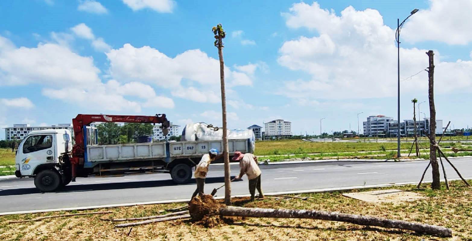 Khắc phục cây xanh bị chết