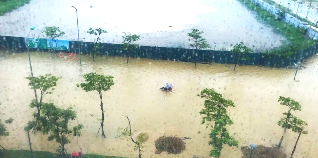 2 000 ha lúa bị ngập úng