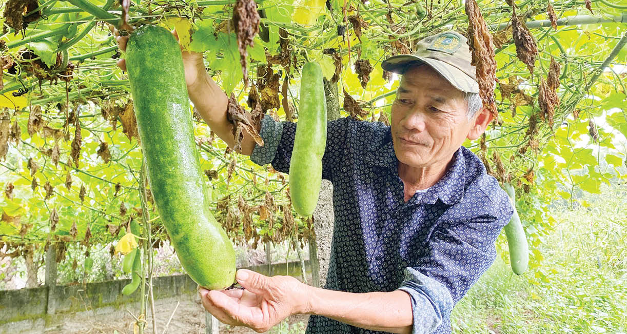 Gương sáng ông Tiên