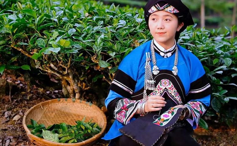 Cổ vũ người trẻ tìm kiếm, tôn vinh nét đẹp văn hóa dân tộc