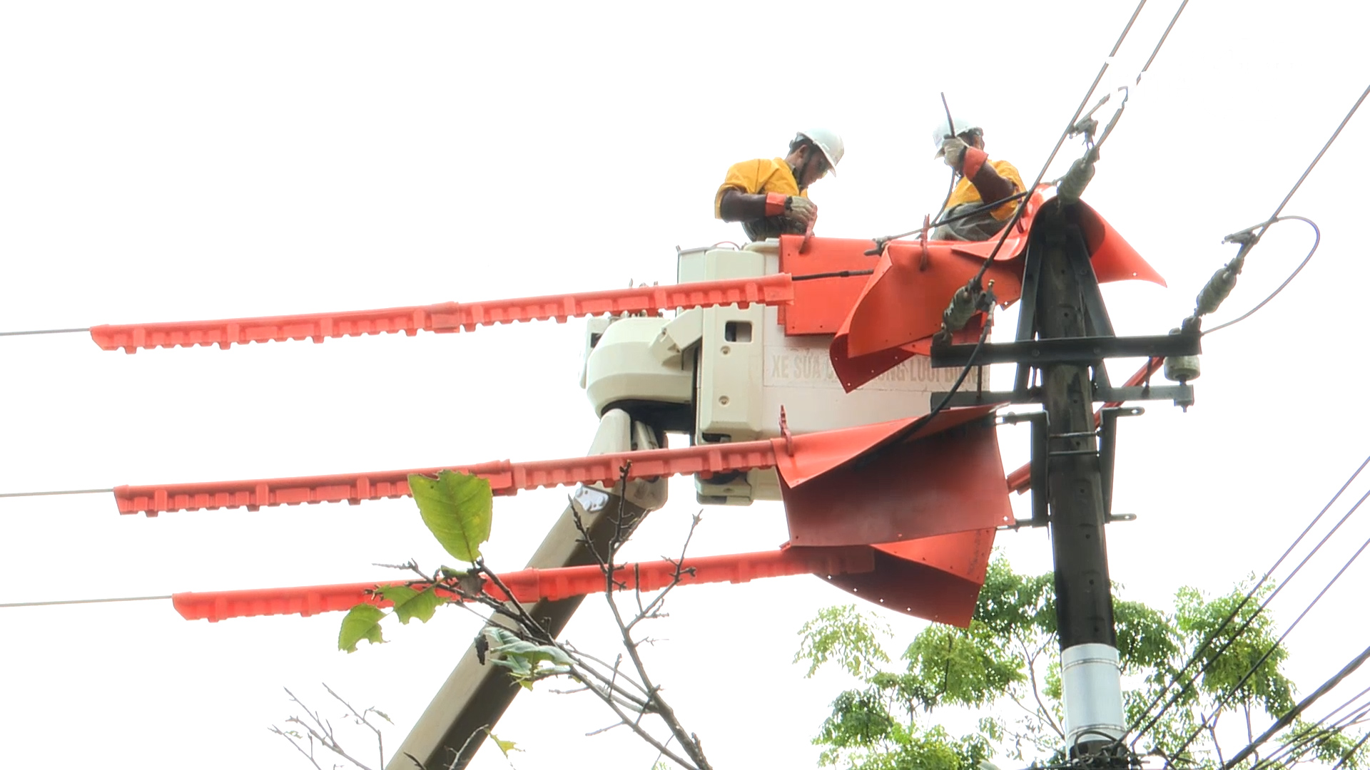 Bản tin Kinh tế - Thị trường ngày 1 6