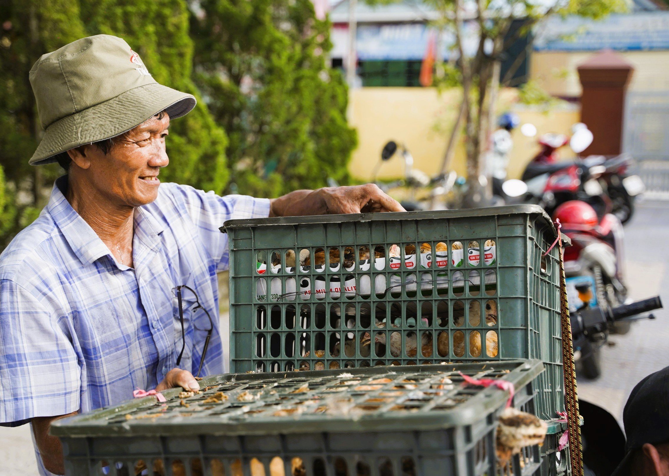 Hỗ trợ gà thương phẩm tạo sinh kế giúp người dân thoát nghèo