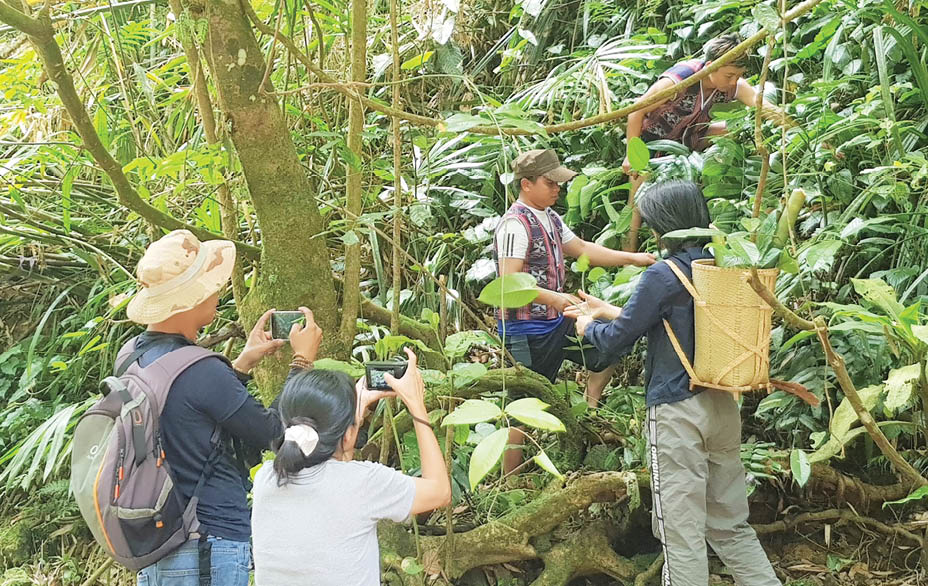 Trải nghiệm khó quên ở vùng cao A Lưới