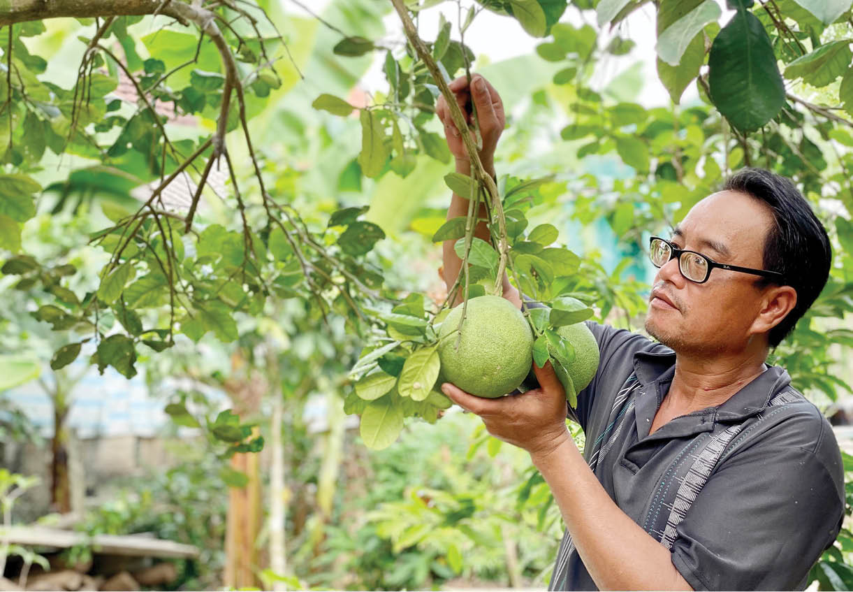 Ông Cư vượt khó