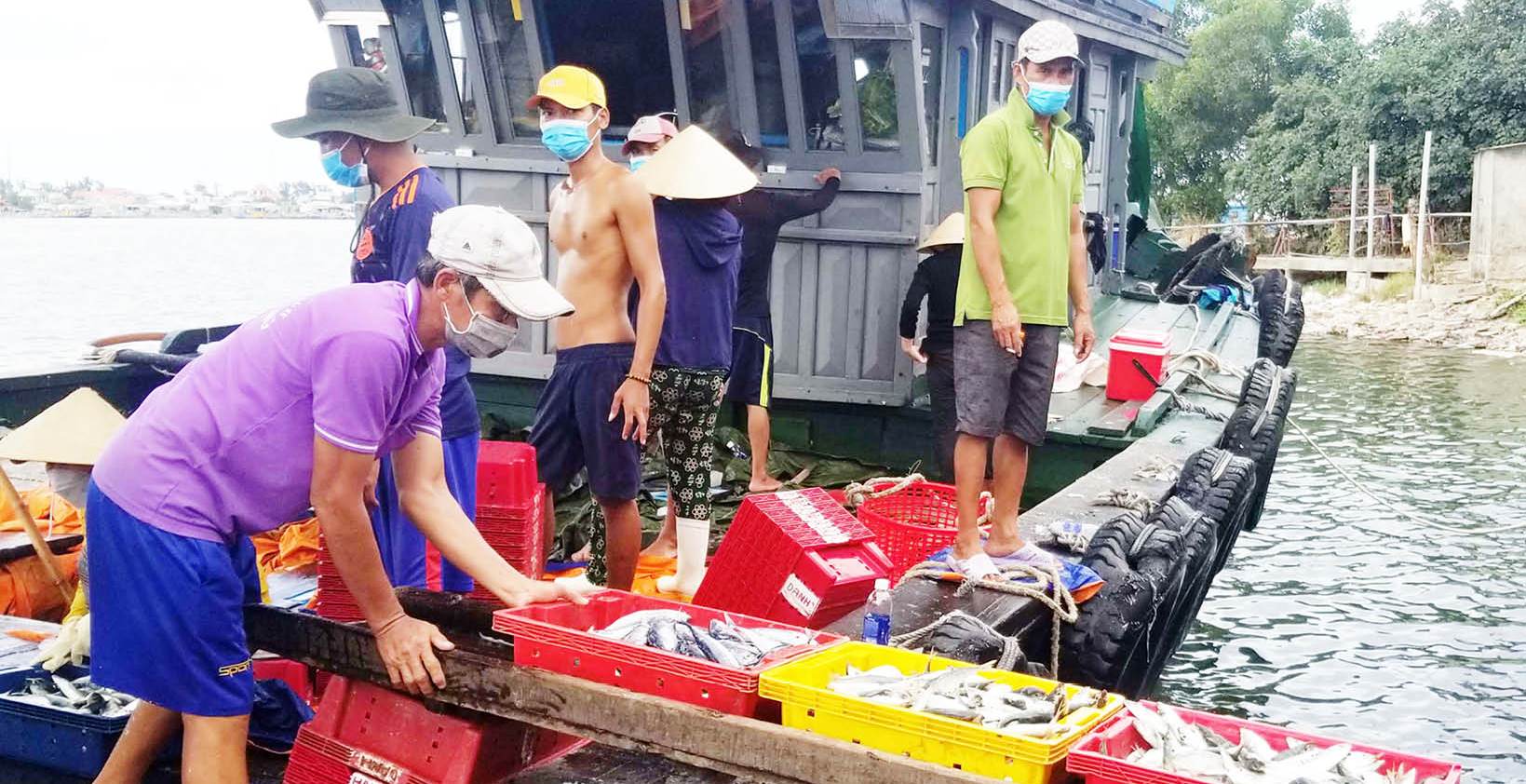 Hiện đại hóa đánh bắt xa bờ