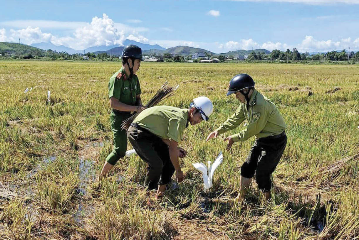 Xử phạt nặng hành vi săn bắt, tiêu thụ động vật hoang dã