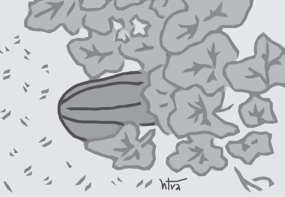 Thanh lành dưa gang