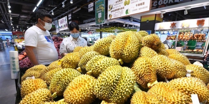 “Cơn khát” sầu riêng của Trung Quốc mang đến cơ hội làm giàu ở Đông Nam Á