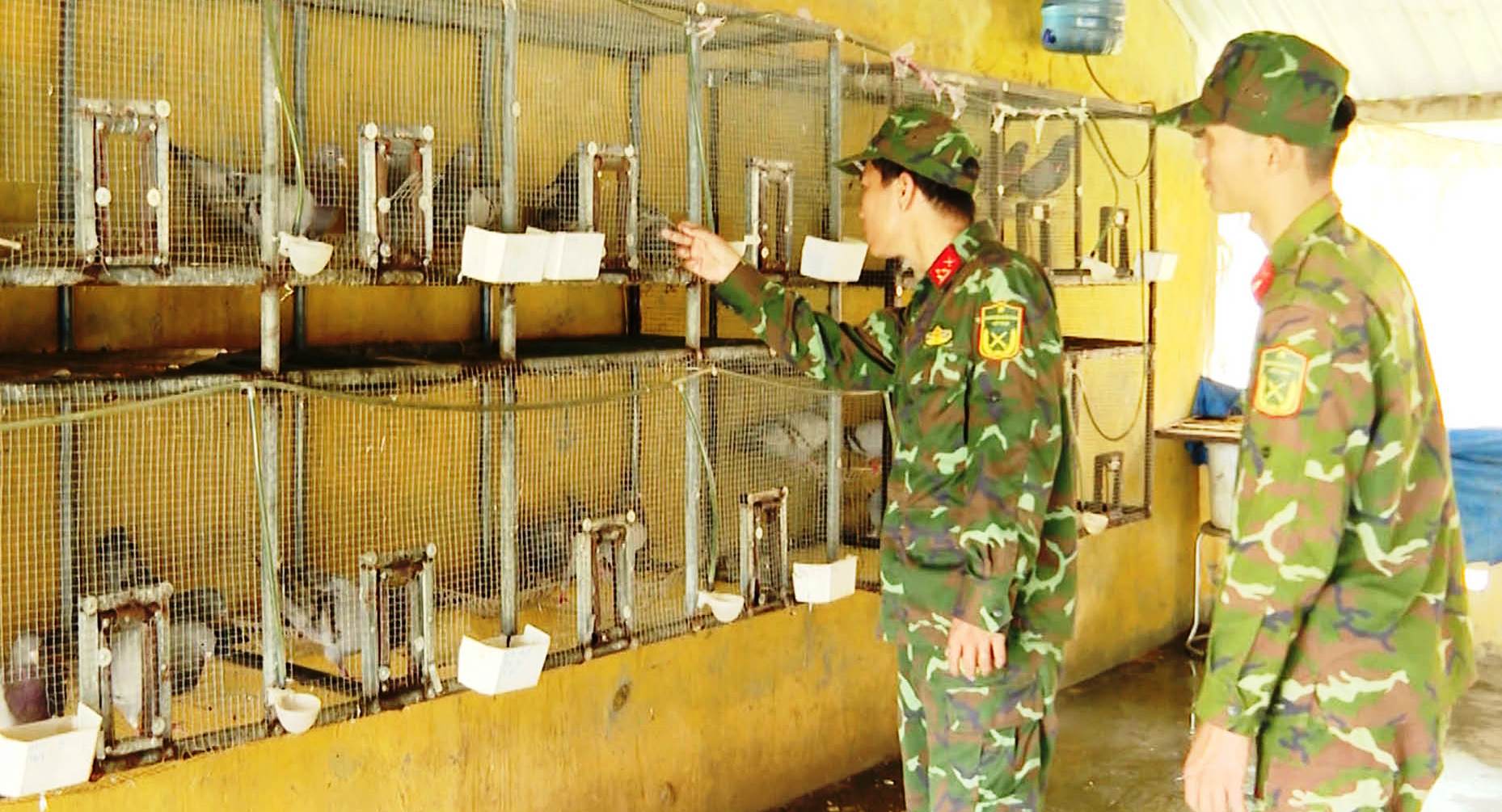 Mạnh dạn đột phá, tăng gia hiệu quả