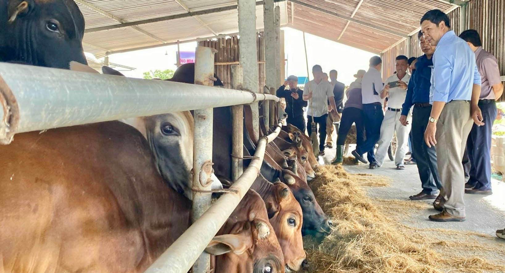 Xu thế tất yếu của chăn nuôi an toàn, hữu cơ