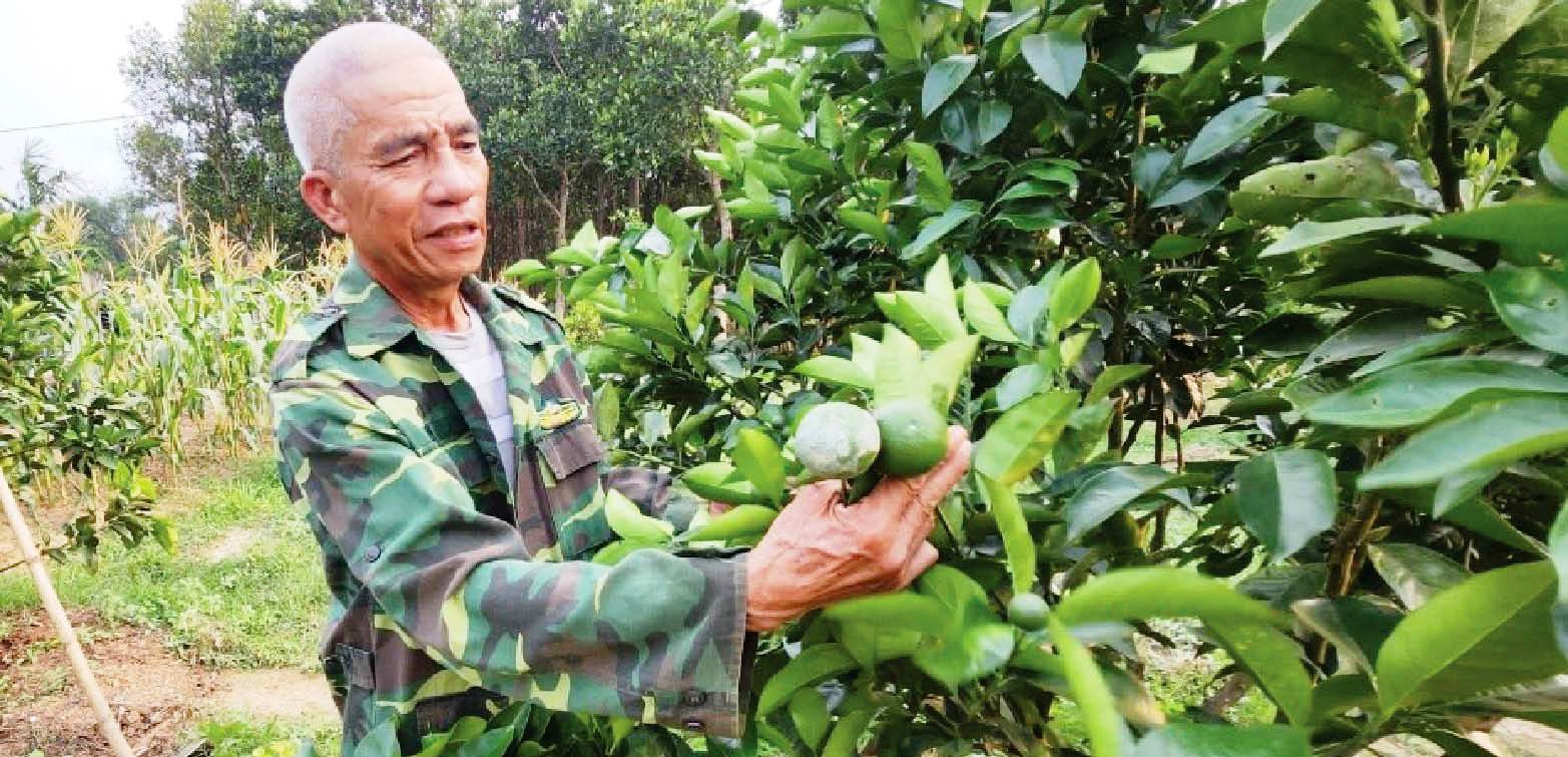 Nông dân vùng cao dám nghĩ, dám làm