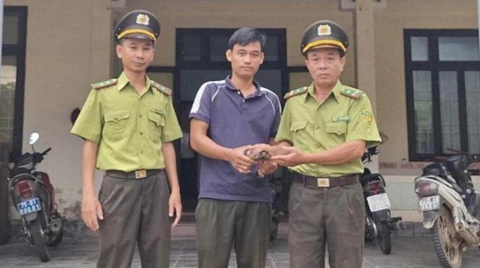 Tự nguyện giao nộp cá thể rùa quý, hiếm