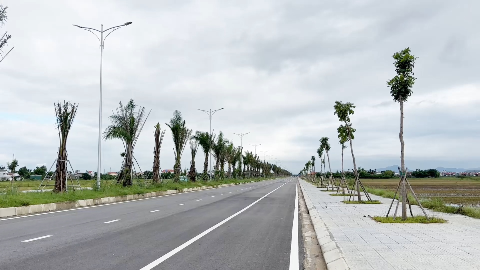 Bản tin Kinh tế - Thị trường ngày 29 6