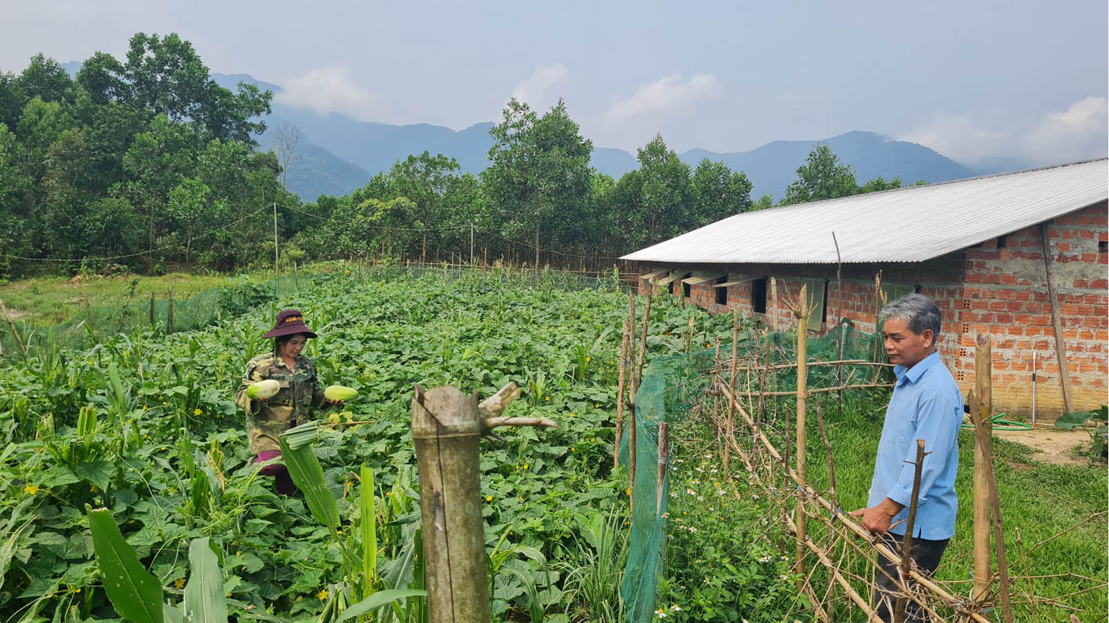 Phát triển vùng đồng bào dân tộc thiểu số