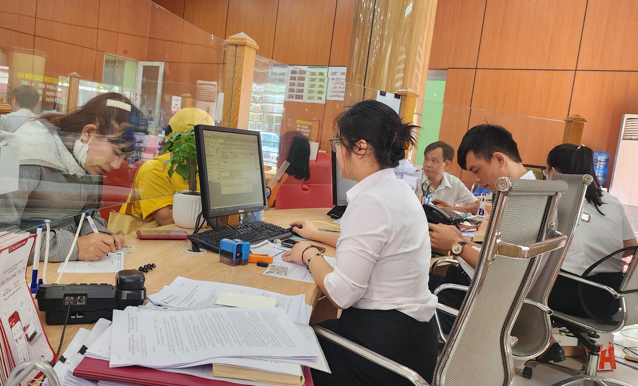 Cập nhật sinh trắc học Người gấp gáp, kẻ dửng dưng