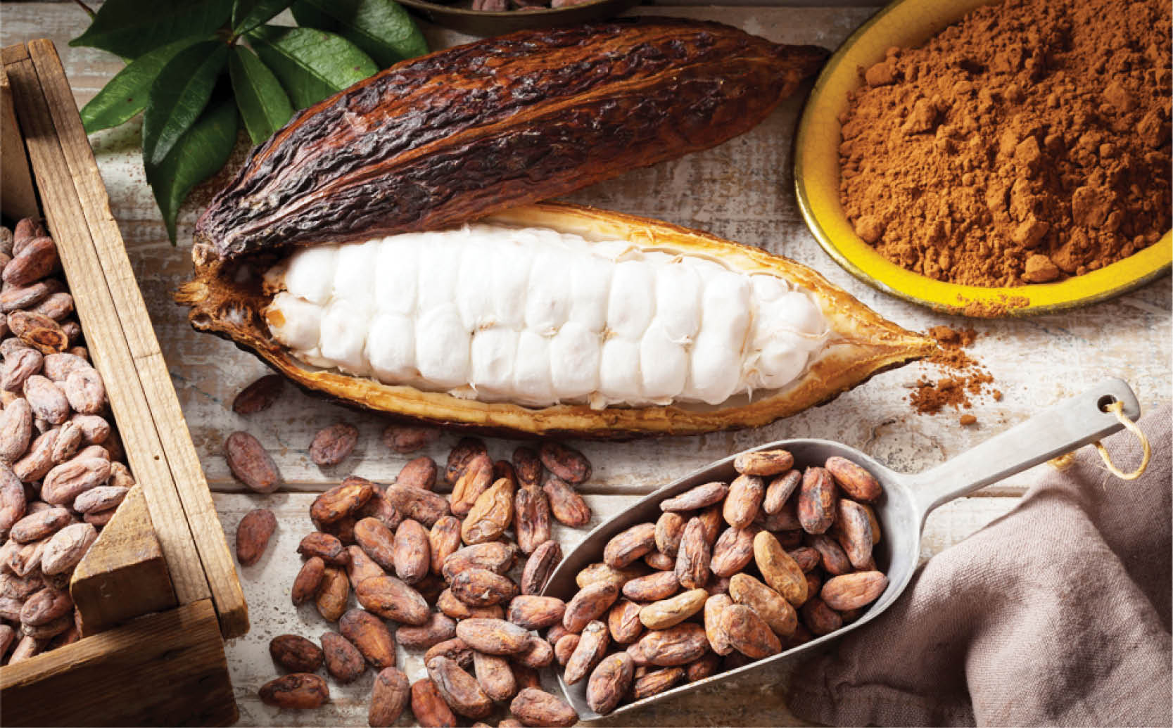 Châu Á - Thái Bình Dương có thể giúp giải quyết cuộc khủng hoảng chocolate toàn cầu