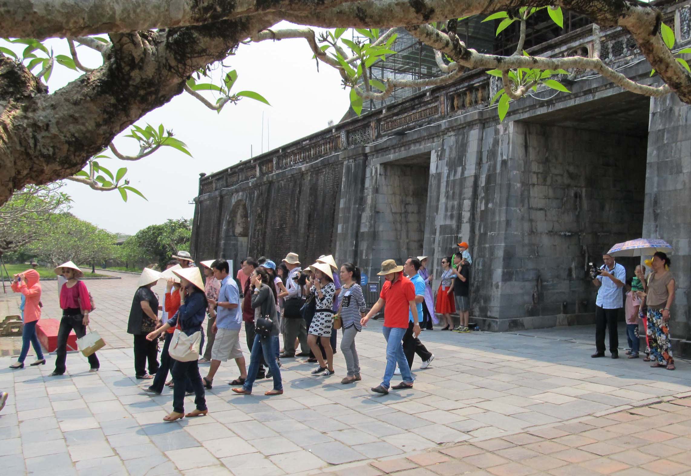 “Cứ liệu” vững chắc