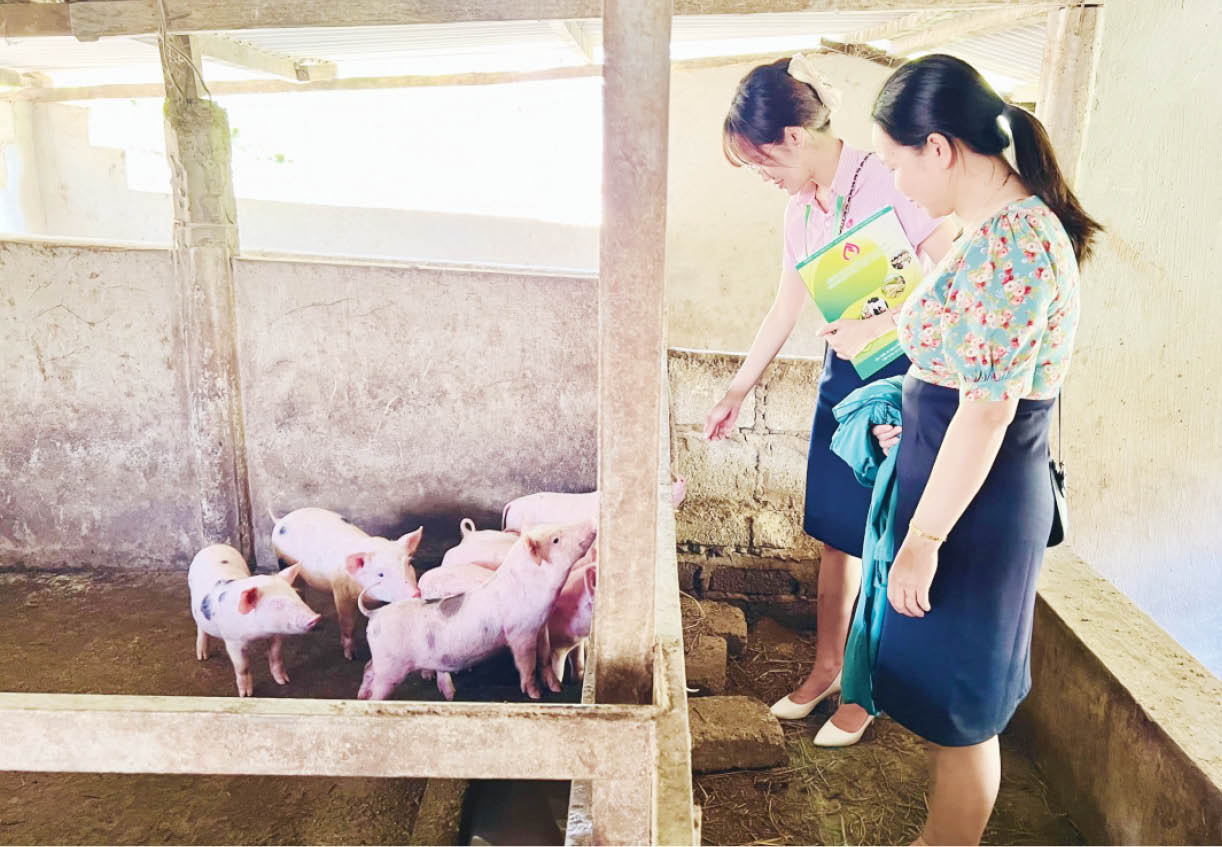 Thoát nghèo nhờ vốn tín dụng chính sách