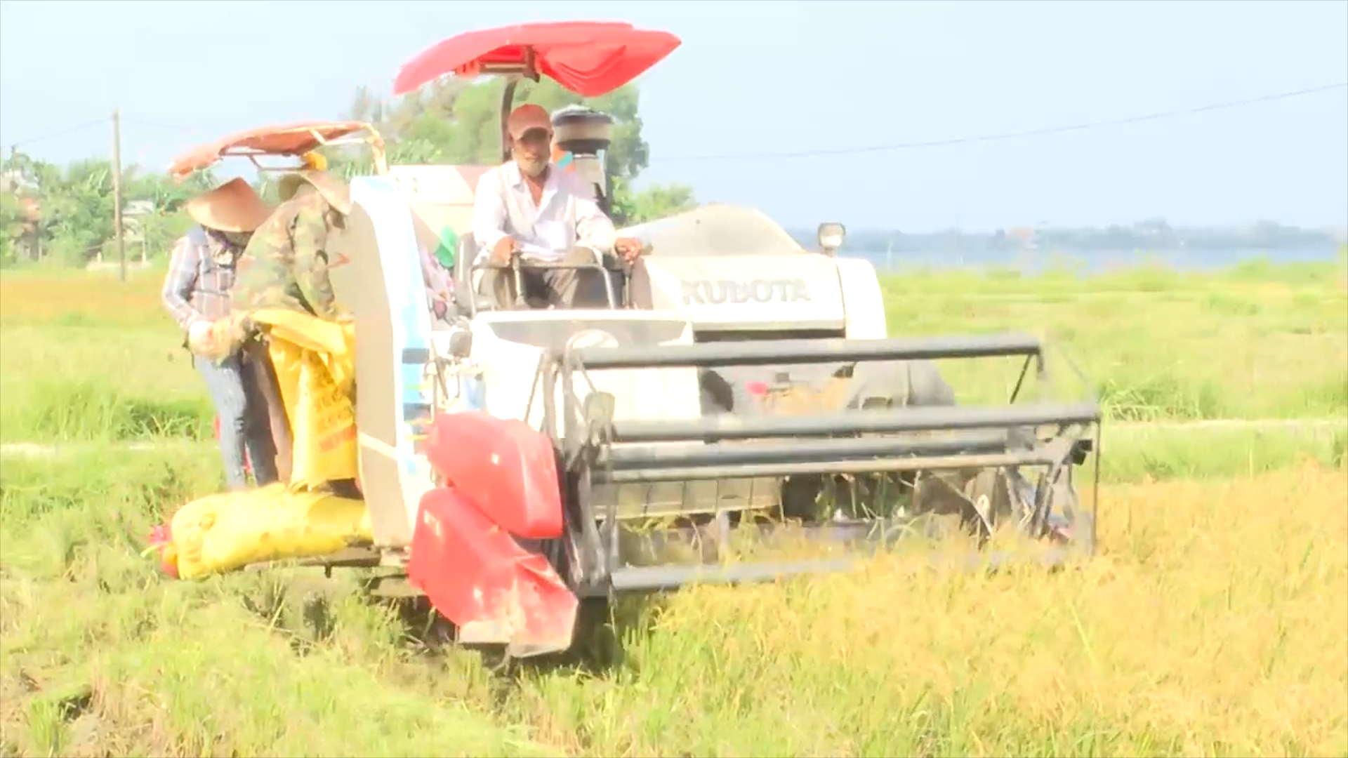 Bản tin Kinh tế - Thị trường ngày 13 7