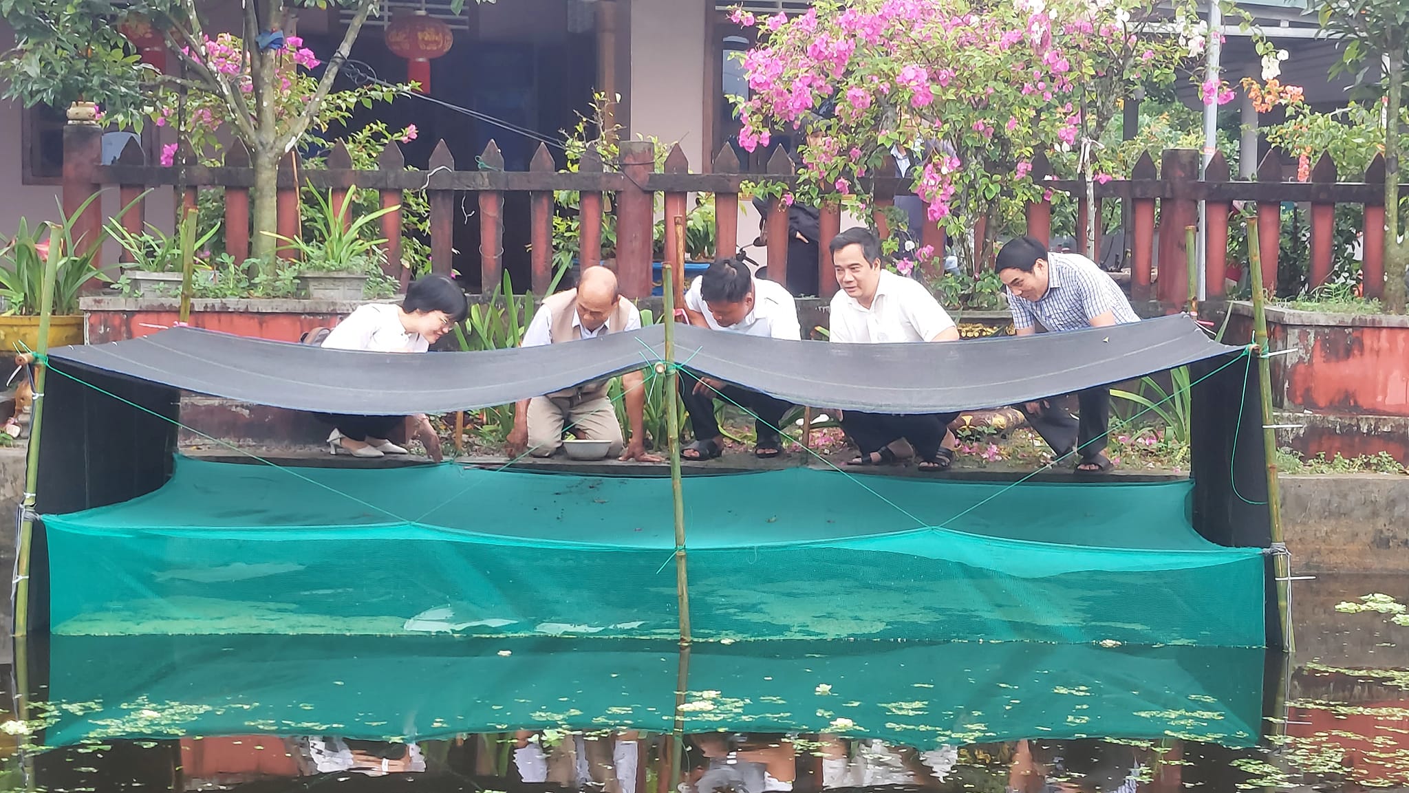 Hỗ trợ 120 ngàn con ốc bươu đen giống cho nông dân